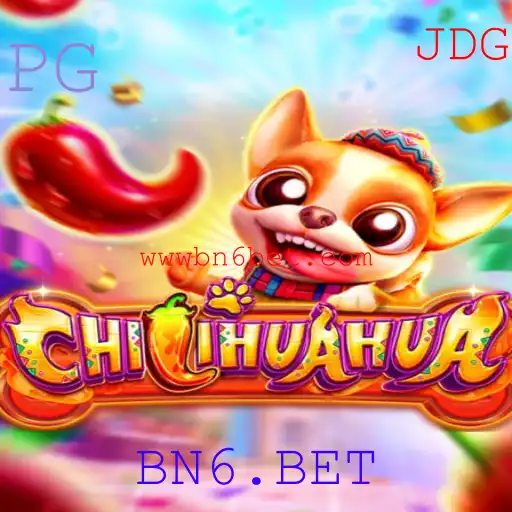 Descubra o Jogo CHILIHUAHUA: Regras, Estratégias e Aventuras em BN6.BET