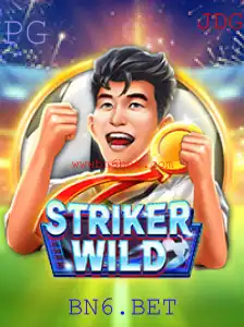 Explorando o Mundo de StrikerWILD: Regras e Dinâmica do Jogo